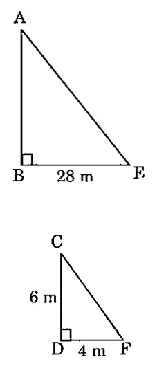 Two right-angled triangles, one showing a tower with height labeled 6 m and shadow 4 m, and the other showing a minaret with unknown height and shadow length labeled 28 m.